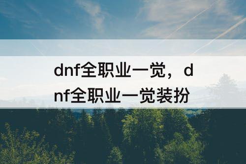 dnf全职业一觉，dnf全职业一觉装扮