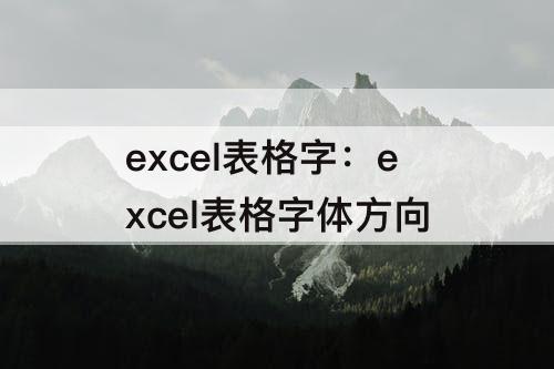 excel表格字：excel表格字体方向