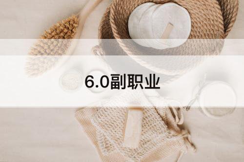 6.0副职业