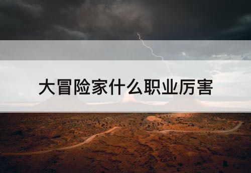 大冒险家什么职业厉害