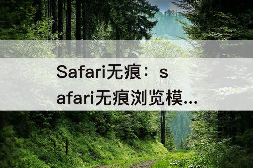 Safari无痕：safari无痕浏览模式如何查看浏览记录