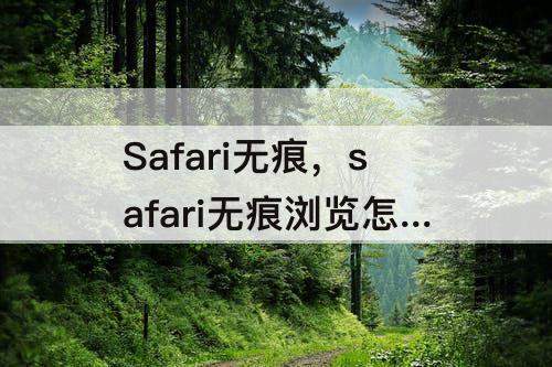 Safari无痕，safari无痕浏览怎么关闭iphone12