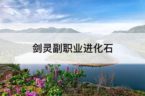 剑灵副职业进化石