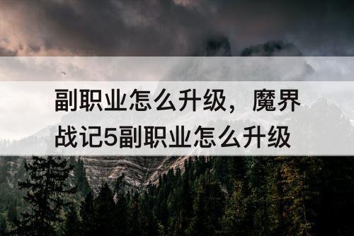 副职业怎么升级，魔界战记5副职业怎么升级