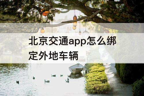 北京交通app怎么绑定外地车辆