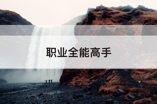 职业全能高手