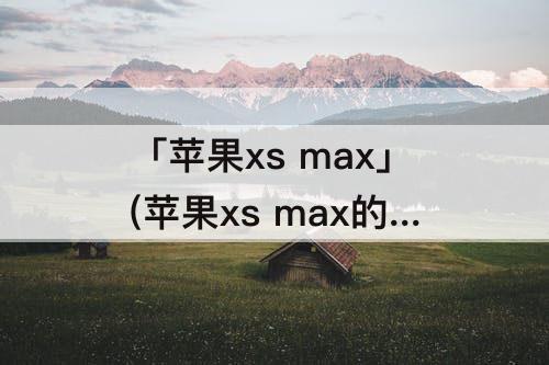 「苹果xs max」(苹果xs max的功能用法)