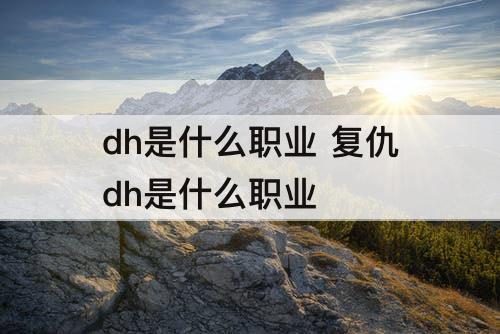 dh是什么职业 复仇dh是什么职业