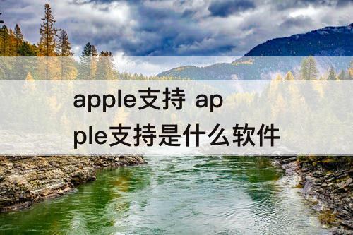 apple支持 apple支持是什么软件