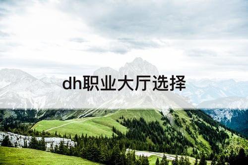 dh职业大厅选择
