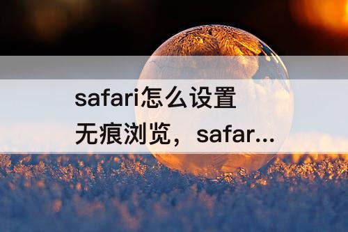 safari怎么设置无痕浏览，safari怎么设置无痕浏览iPhone13