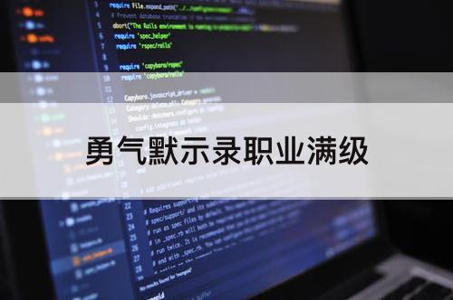 勇气默示录职业满级