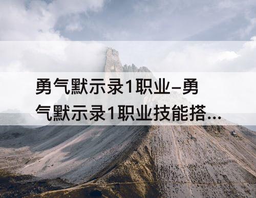勇气默示录1职业-勇气默示录1职业技能搭配