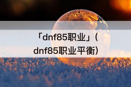 「dnf85职业」(dnf85职业平衡)