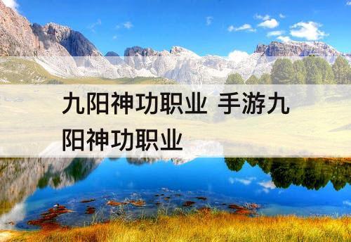 九阳神功职业 手游九阳神功职业