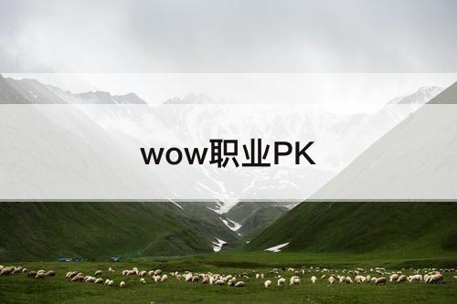 wow职业PK