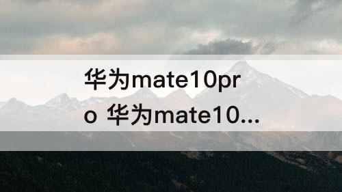 华为mate10pro 华为mate10pro指纹解锁功能突然不见了