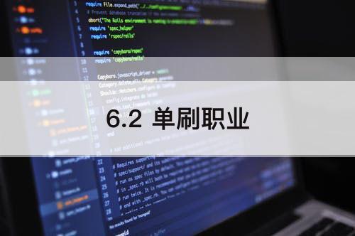 6.2 单刷职业