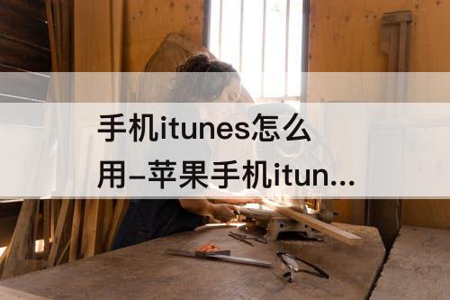 手机itunes怎么用-苹果手机itunes怎么用不了