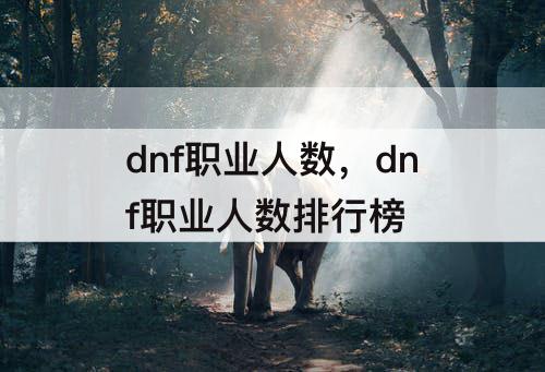 dnf职业人数，dnf职业人数排行榜