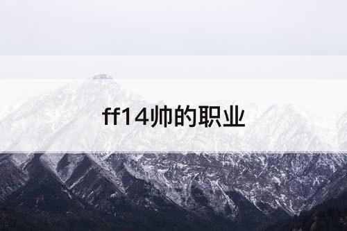 ff14帅的职业