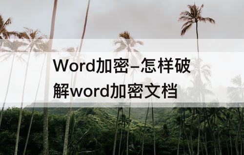Word加密-怎样破解word加密文档