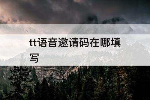 tt语音邀请码在哪填写