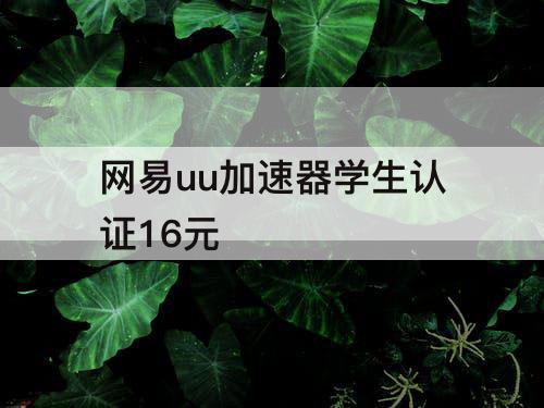 网易uu加速器学生认证16元