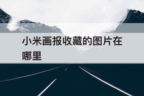 小米画报收藏的图片在哪里