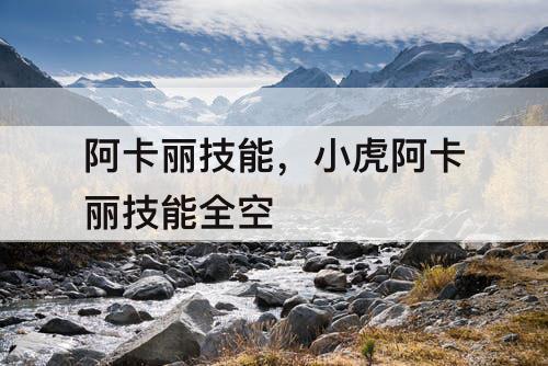 阿卡丽技能，小虎阿卡丽技能全空