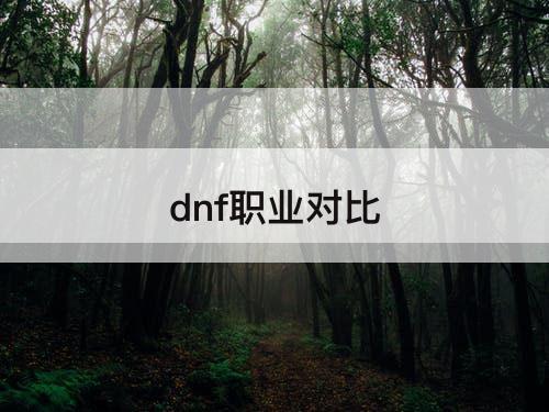 dnf职业对比