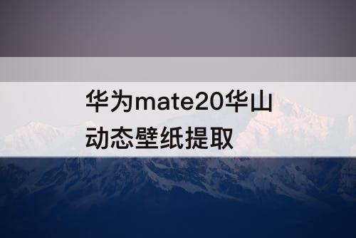 华为mate20华山动态壁纸提取