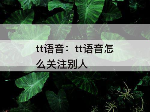 tt语音：tt语音怎么关注别人