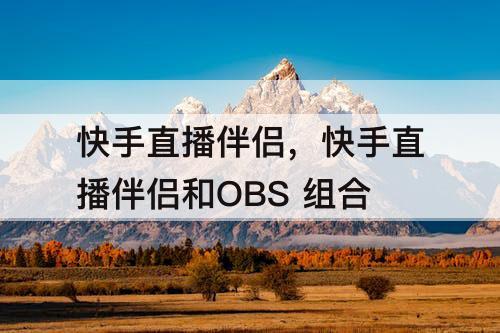 快手直播伴侣，快手直播伴侣和OBS 组合