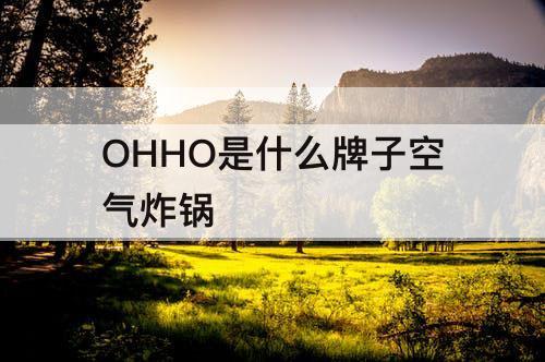 OHHO是什么牌子空气炸锅