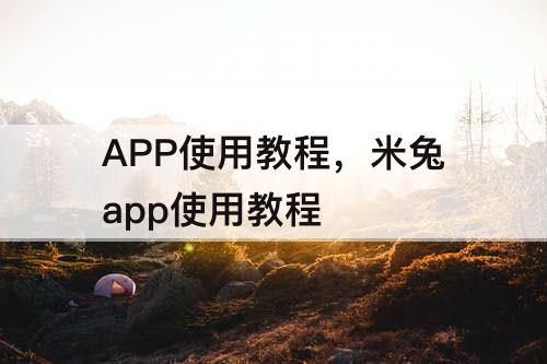APP使用教程，米兔app使用教程