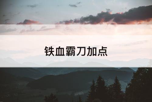 铁血霸刀加点