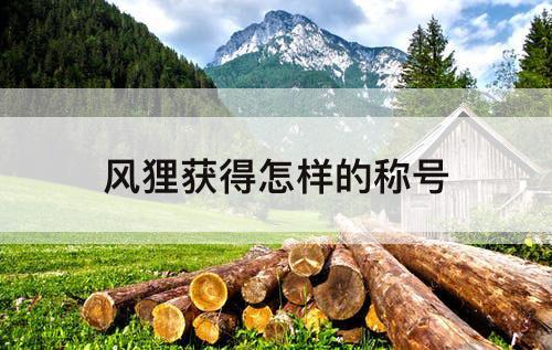 风狸获得怎样的称号