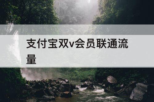 支付宝双v会员联通流量