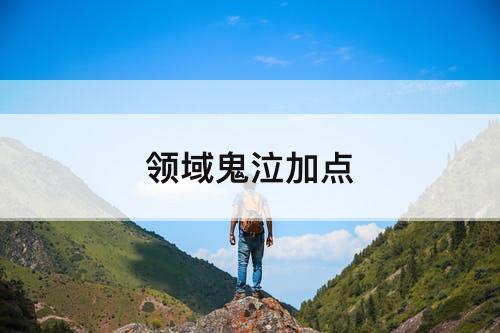 领域鬼泣加点