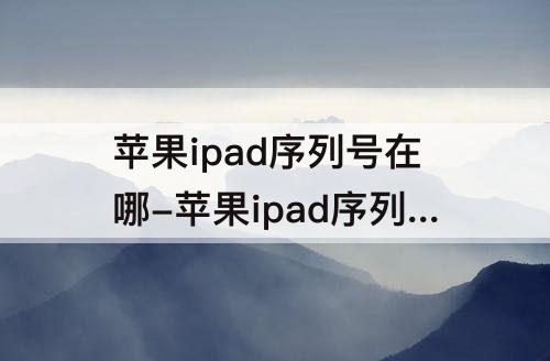 苹果ipad序列号在哪-苹果ipad序列号在哪里
