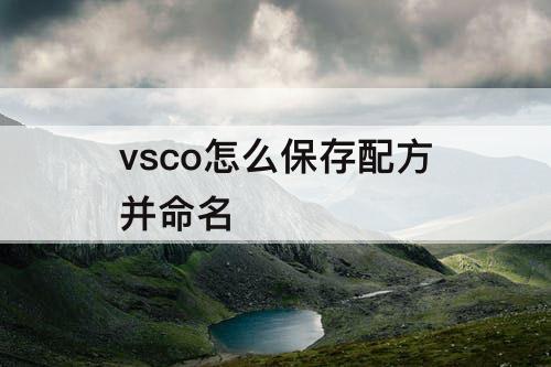 vsco怎么保存配方并命名