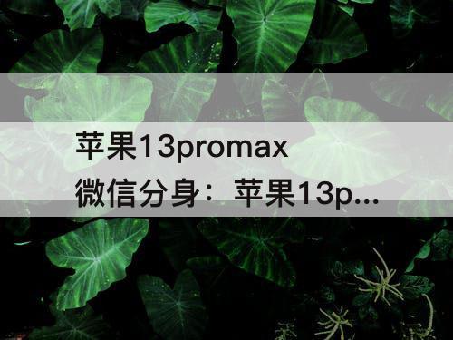 苹果13promax微信分身：苹果13promax微信分身免费