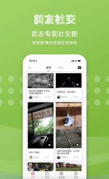 搜鸽网  v1.10.17图2