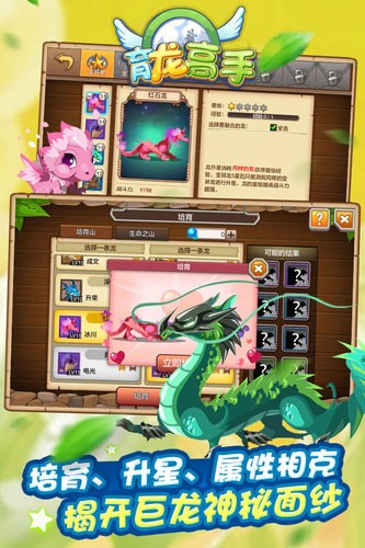 育龙高手  v2.8.0图3