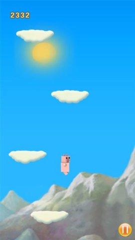 宠物小猪跳跳