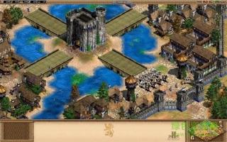 帝国时代2手机版单机版  v1.12.7图2