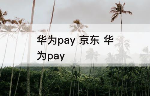 华为pay 京东 华为pay