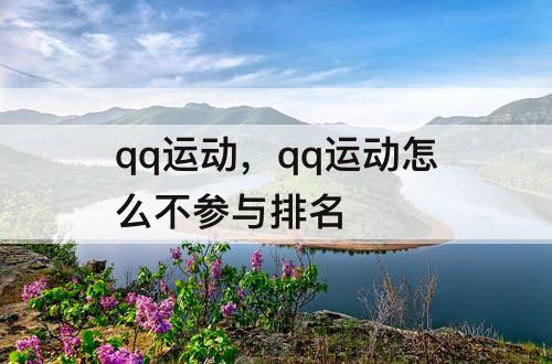 qq运动，qq运动怎么不参与排名