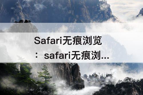 Safari无痕浏览：safari无痕浏览的记录查看
